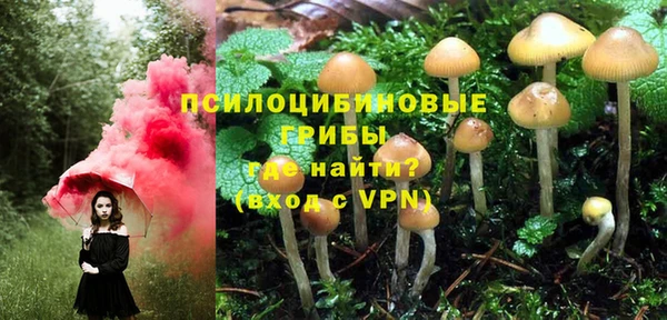 стаф Алексеевка