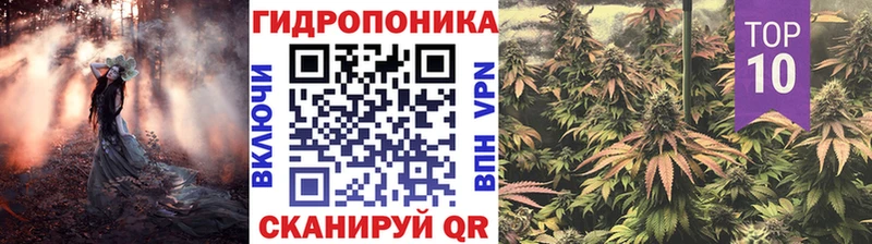 KRAKEN зеркало  Пошехонье  Канабис THC 21% 